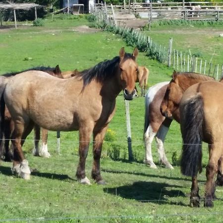 Estancia Turistica Don Joaquin Scavino Екстериор снимка