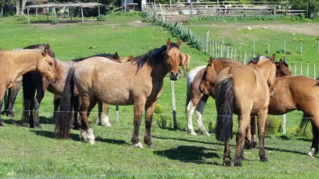Estancia Turistica Don Joaquin Scavino Екстериор снимка